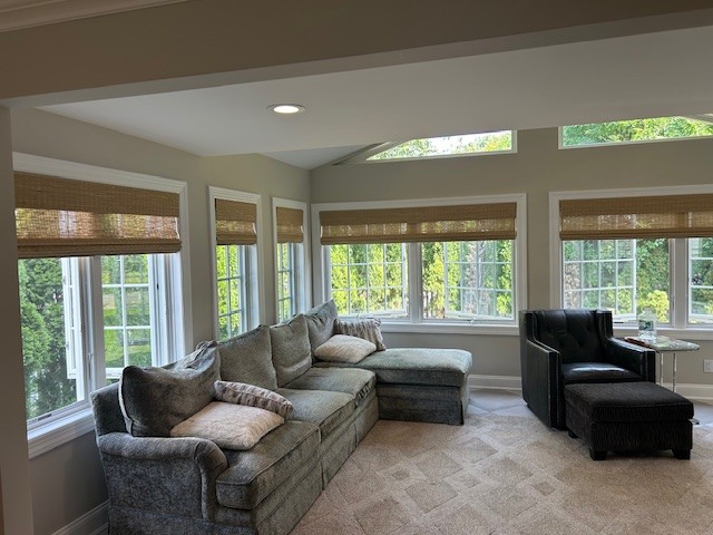 Premium Hunter Douglas Provenance Cordless Woven Wood Shades in Ridgewood, NJ Thumbnail